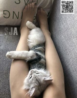 超大尺度私拍